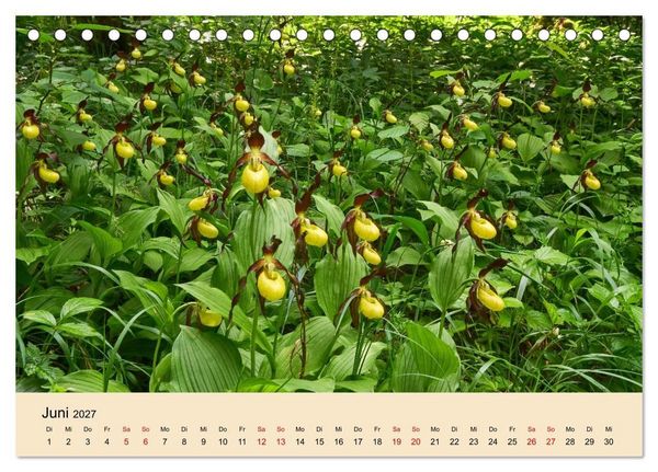 Produktbild: Franken - eine Region voller Naturwunder (Tischkalender 2027 DIN A5 quer), CALVENDO Monatskalender