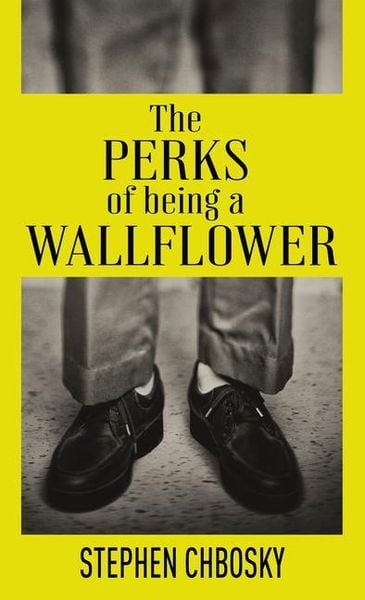 Produktbild: The Perks of Being a Wallflower