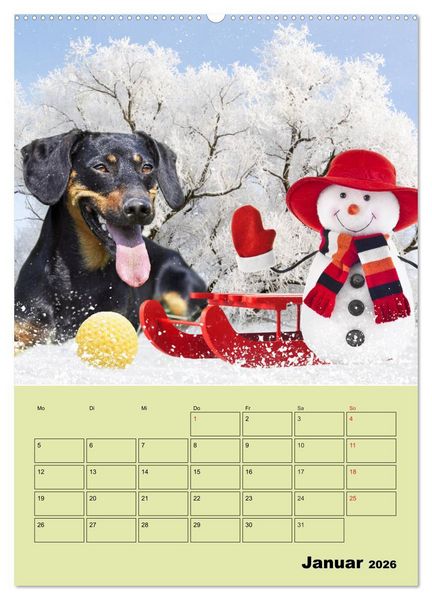 Produktbild: Dackeltr&auml;ume - Ein Familienplaner f&uuml;r das Jahr (Wandkalender 2026 DIN A2 hoch), CALVENDO Monatskalender