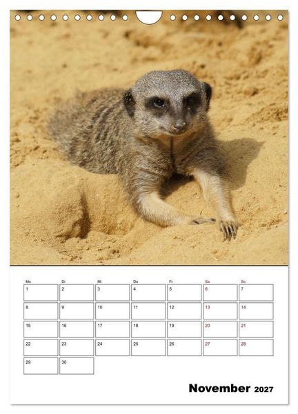 Produktbild: Niedliche Erdm&auml;nnchen (Wandkalender 2027 DIN A4 hoch), CALVENDO Monatskalender