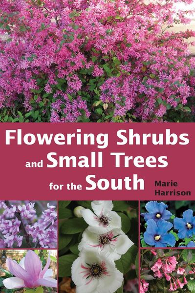 Produktbild: Flowering Shrubs and Small Trees for the South