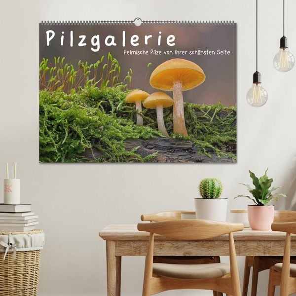Produktbild: Pilzgalerie - Heimische Pilze von ihrer sch&ouml;nsten Seite (Wandkalender 2026 DIN A2 quer), CALVENDO Monatskalender