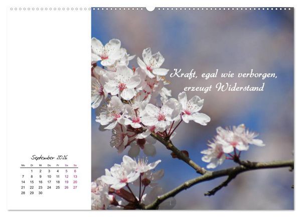 Produktbild: Innehalten in der Natur ... mit Weisheiten und Sprichworten der Indianer (hochwertiger Premium Wandkalender 2026 DIN A2 quer), Kunstdruck in Hochglanz