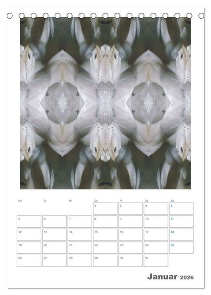 Produktbild: Axis Mater Naturae (Tischkalender 2026 DIN A5 hoch), CALVENDO Monatskalender