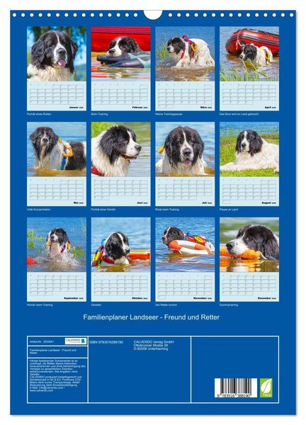 Produktbild: Familienplaner Landseer - Freund und Retter (Wandkalender 2026 DIN A3 hoch), CALVENDO Monatskalender