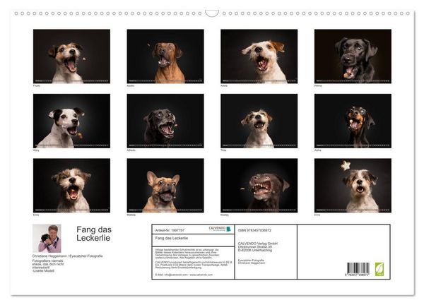 Produktbild: Fang das Leckerlie (Wandkalender 2026 DIN A2 quer), CALVENDO Monatskalender