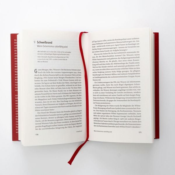 Produktbild: Die Brandstifter