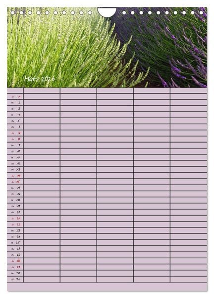 Produktbild: Naturzauber Lavendel - Familienplaner (Wandkalender 2026 DIN A4 hoch), CALVENDO Monatskalender