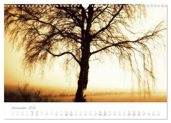 Produktbild: Teufelsmoor Impressionen (Wandkalender 2026 DIN A3 quer), CALVENDO Monatskalender