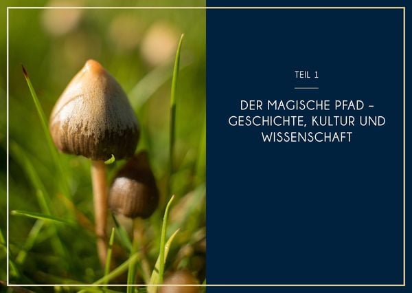 Produktbild: Microdosing mit Psilocybin