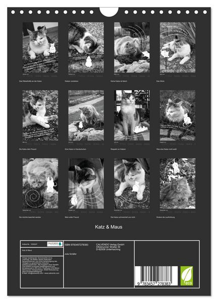 Produktbild: Katz & Maus (Wandkalender 2026 DIN A4 hoch), CALVENDO Monatskalender