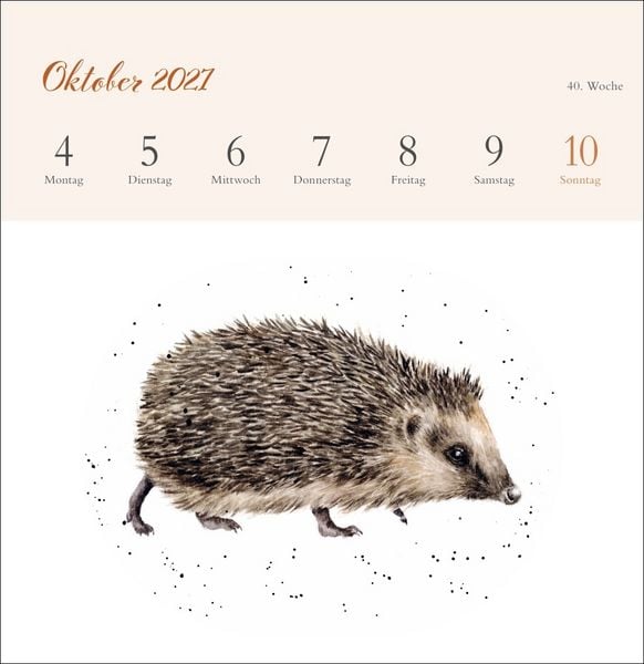 Produktbild: Hannah Dale: Happy Animals Premium-Postkartenkalender 2027