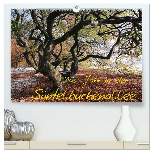 Das Jahr in der Süntelbuchenallee (hochwertiger Premium Wandkalender 2026 DIN A2 quer), Kunstdruck in Hochglanz