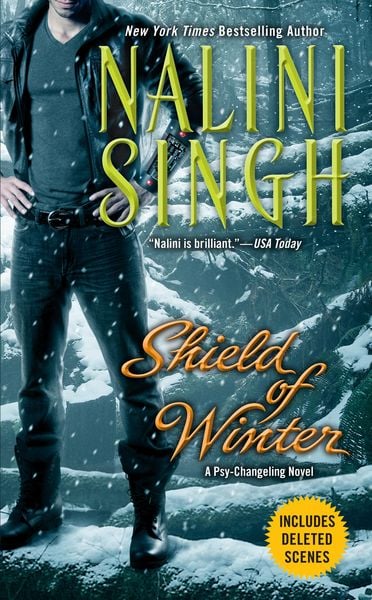 Produktbild: Shield of Winter