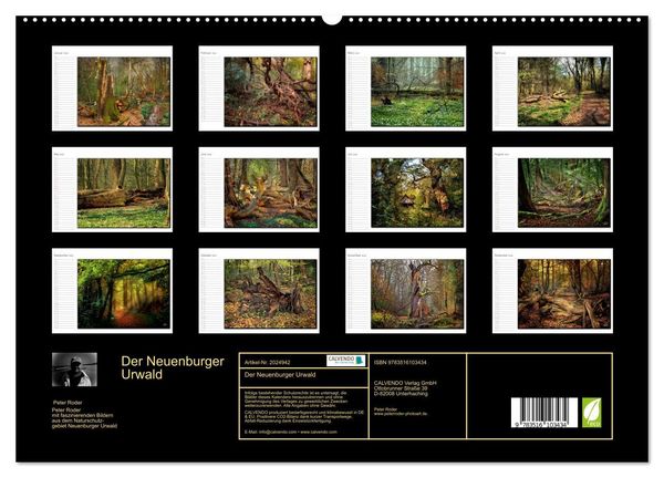 Produktbild: Der Neuenburger Urwald (hochwertiger Premium Wandkalender 2026 DIN A2 quer), Kunstdruck in Hochglanz