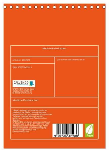 Produktbild: Niedliche Eichh&ouml;rnchen (Tischkalender 2026 DIN A5 hoch), CALVENDO Monatskalender