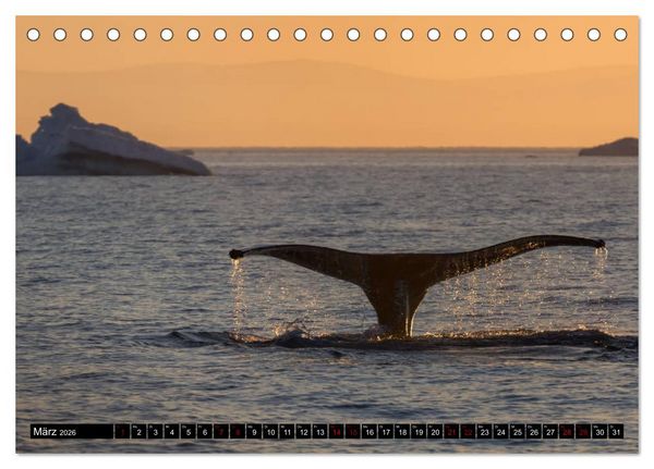 Produktbild: GR&Ouml;NLAND Eisfjord und Diskobucht (Tischkalender 2026 DIN A5 quer), CALVENDO Monatskalender