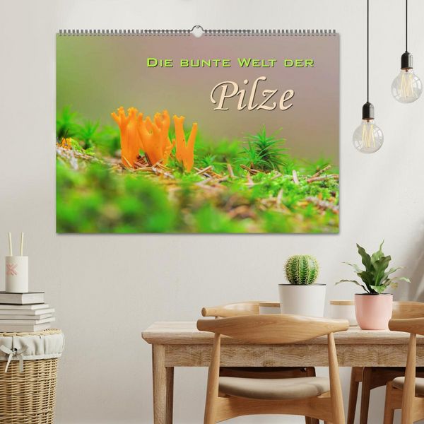 Produktbild: Die bunte Welt der Pilze (Wandkalender 2026 DIN A2 quer), CALVENDO Monatskalender
