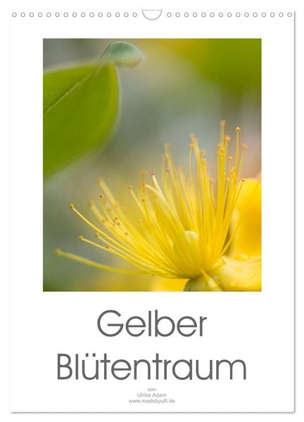 Produktbild: Gelber Bl&uuml;tentraum (Wandkalender 2026 DIN A3 hoch), CALVENDO Monatskalender