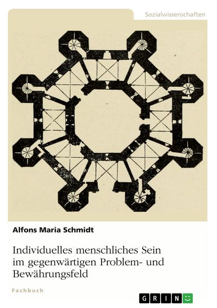 Individuelles menschliches Sein im gegenwärtigen Problem- und Bewährungsfeld, Taschenbuch von Alfons Maria Schmidt, GRIN, 9783389074657