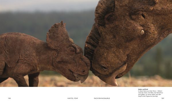 Produktbild: Unter Dinos - Geheimnisse der Urzeit