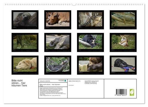 Produktbild: Bitte nicht st&ouml;ren... hier tr&auml;umen Tiere (hochwertiger Premium Wandkalender 2026 DIN A2 quer), Kunstdruck in Hochglanz