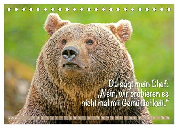Produktbild: Spa&szlig; mit B&auml;ren: Edition lustige Tiere (Tischkalender 2026 DIN A5 quer), CALVENDO Monatskalender