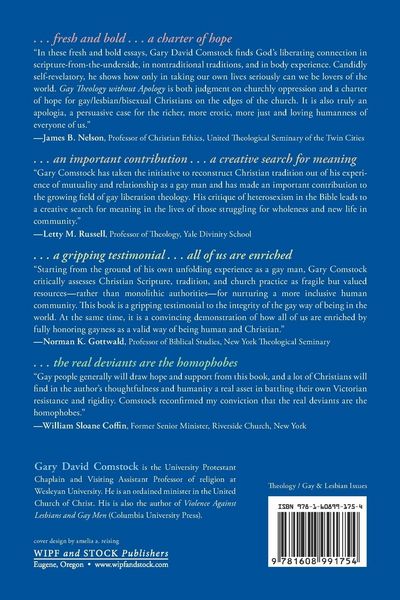 Produktbild: Gay Theology without Apology