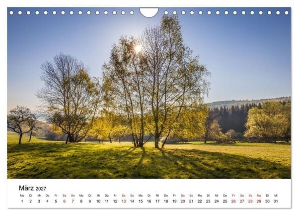 Produktbild: Taunus - Traumhafte W&auml;lder und romantische Orte (Wandkalender 2027 DIN A4 quer), CALVENDO Monatskalender
