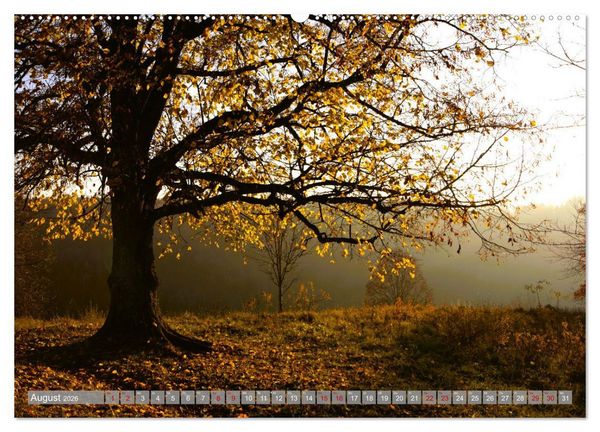 Produktbild: Wundersch&ouml;ne schw&auml;bische Alb (Wandkalender 2026 DIN A2 quer), CALVENDO Monatskalender