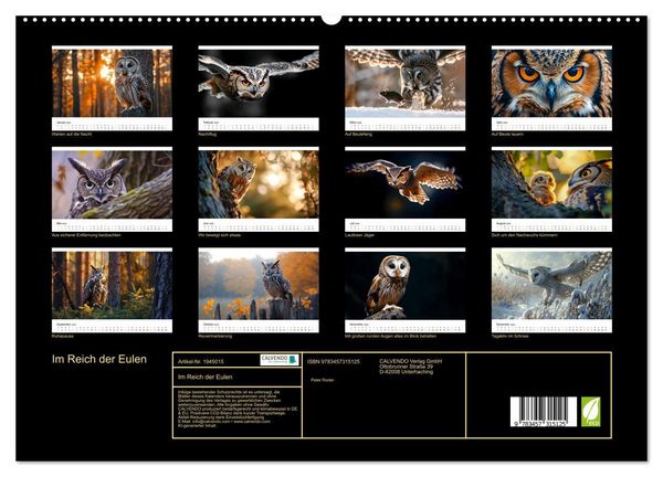 Produktbild: Im Reich der Eulen (hochwertiger Premium Wandkalender 2026 DIN A2 quer), Kunstdruck in Hochglanz