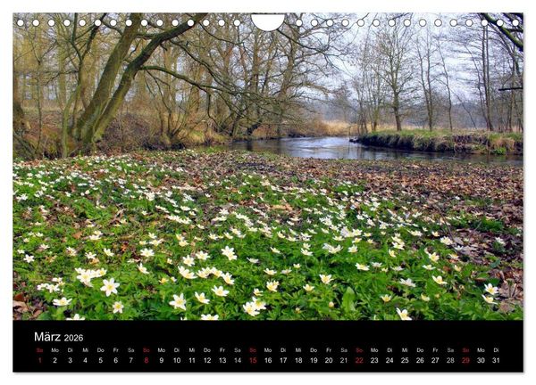 Produktbild: L&uuml;neburg und die L&uuml;neburger Heide (Wandkalender 2026 DIN A4 quer), CALVENDO Monatskalender