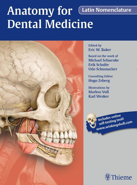 Produktbild: Anatomy for Dental Medicine, Latin Nomenclature