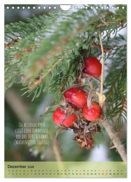 Produktbild: Naturzauber - Bunt und Lebendig (Wandkalender 2026 DIN A4 hoch), CALVENDO Monatskalender