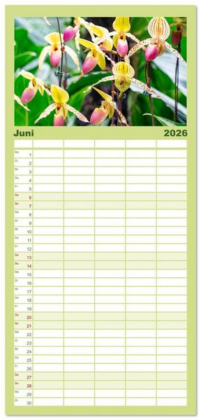 Produktbild: Familienplaner 2026 - Orchidaceae - Orchideen mit 5 Spalten (Wandkalender, 21 x 45 cm) CALVENDO