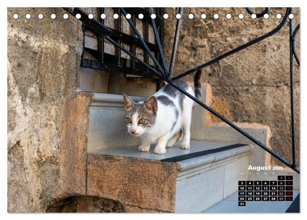 Produktbild: Katzen von Rhodos - Kleine G&ouml;tter auf vier Pfoten (Tischkalender 2026 DIN A5 quer), CALVENDO Monatskalender