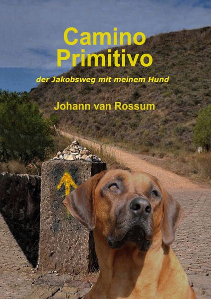Produktbild: Camino Primitivo