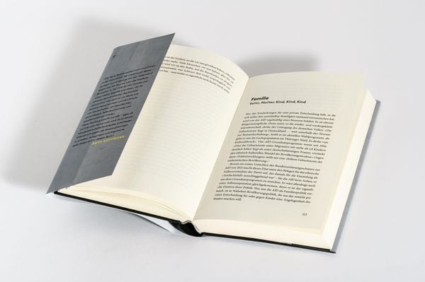 Produktbild: Raubzug von rechts