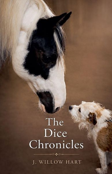 Produktbild: The Dice Chronicles