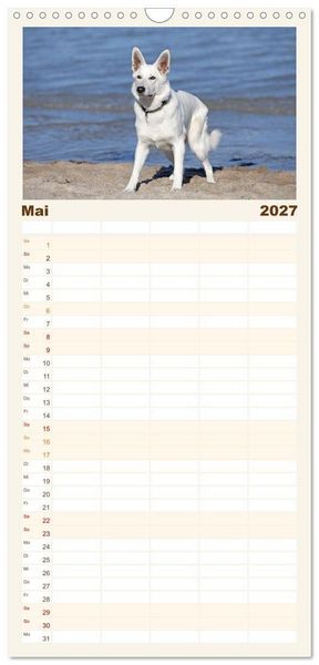 Produktbild: Familienplaner 2027 - Berger Blanc Suisse - Weggef&auml;hrten auf 4 Pfoten mit 5 Spalten (Wandkalender, 21 x 45 cm) CALVENDO