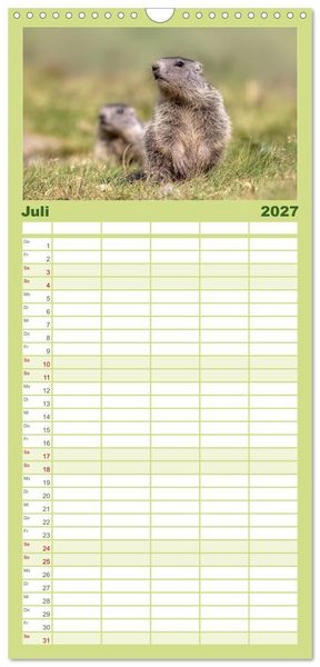 Produktbild: Familienplaner 2027 - Tiere der Alpen - Murmeltier-Kinder mit 5 Spalten (Wandkalender, 21 x 45 cm) CALVENDO