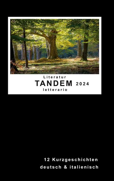 Produktbild: Literatur Tandem letterario 2024