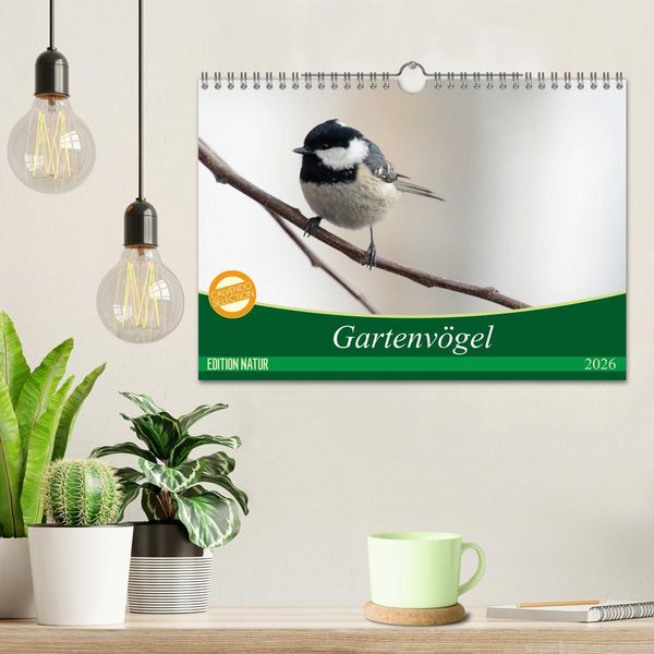 Produktbild: Gartenv&ouml;gel (Wandkalender 2026 DIN A4 quer), CALVENDO Monatskalender