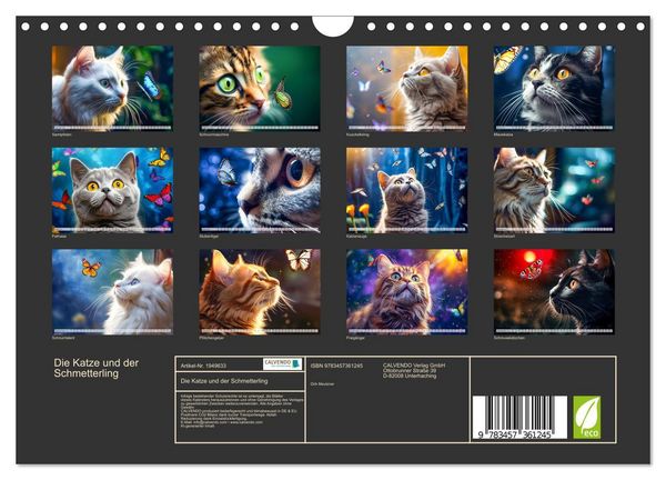 Produktbild: Die Katze und der Schmetterling (Wandkalender 2026 DIN A4 quer), CALVENDO Monatskalender