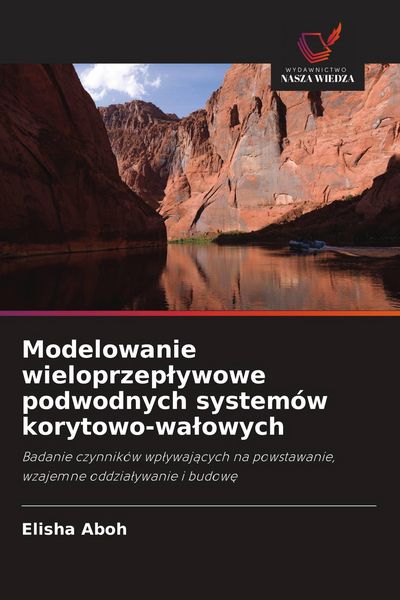 Produktbild: Modelowanie wieloprzep&iquest;ywowe podwodnych system&oacute;w korytowo-wa&iquest;owych