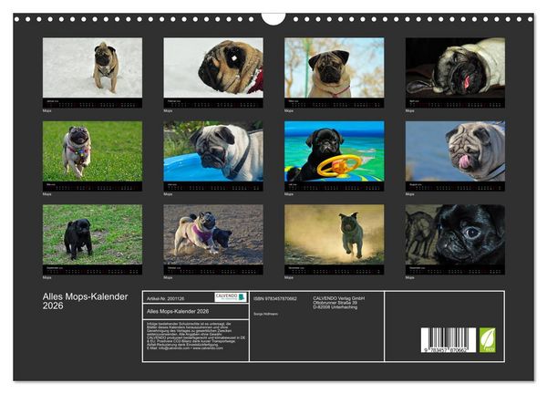 Produktbild: Alles Mops-Kalender 2026 (Wandkalender 2026 DIN A3 quer), CALVENDO Monatskalender
