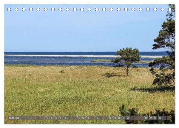 Produktbild: Fischland Dar&szlig; Zingst - wie gemalt (Tischkalender 2026 DIN A5 quer), CALVENDO Monatskalender