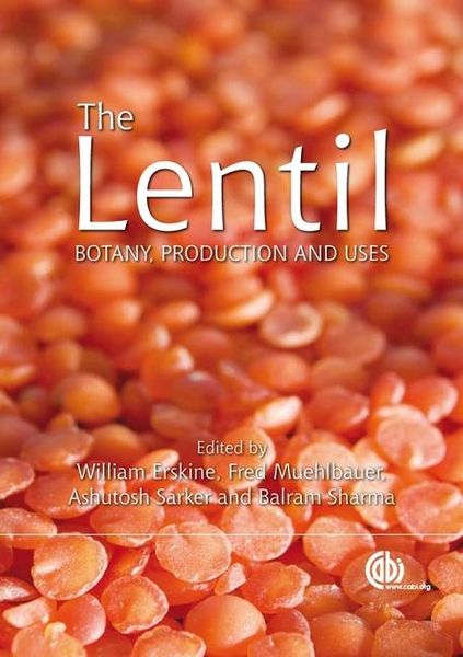 Produktbild: Lentil
