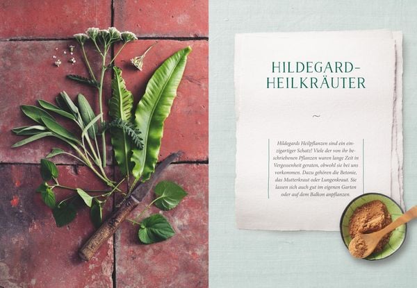 Produktbild: Das Heilwissen der Hildegard von Bingen