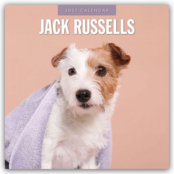 Produktbild: Jack Russells &ndash; Jack Russell Terrier 2027 &ndash; 16-Monatskalender